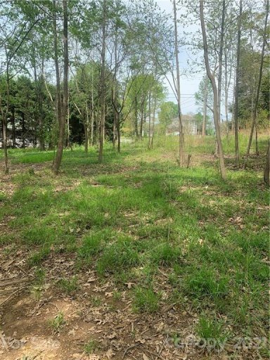 108 Pine Road 407