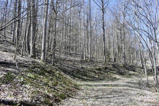 Lot 21 Rock Springs Road