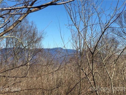 0 Lytle Cove Road Tract F