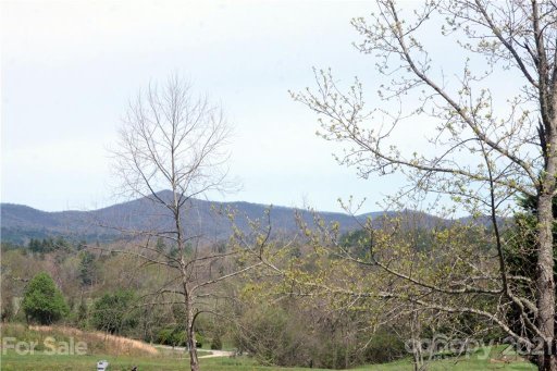 19 Silver Fox Lane Lot 19