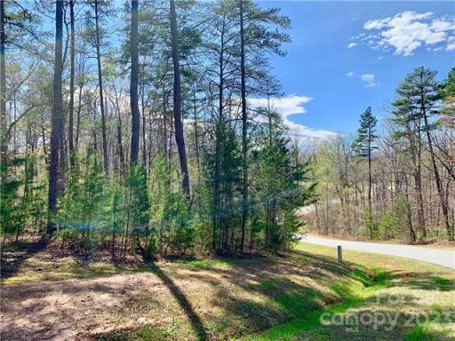 1 55 Acres Lot 30 Shady Bark Lane