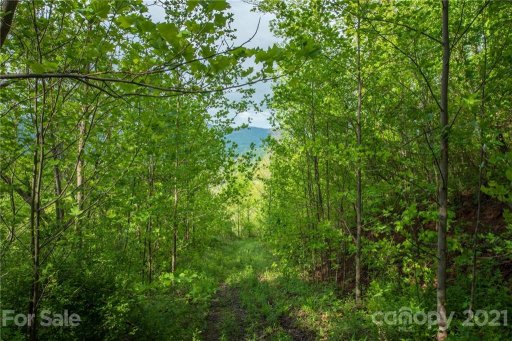 5 Jacobs Ladder Lane