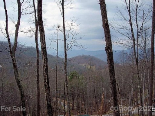 1154 Old Tannassie Road 42,43