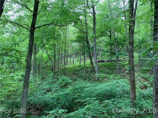 Tbd Soapstone Creek Drive 14