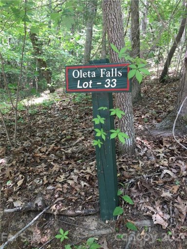 00 Bear Landing Drive Lot 33