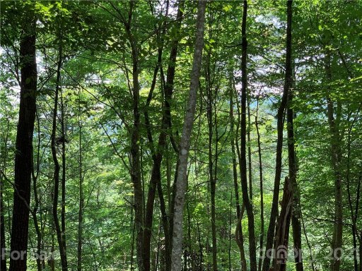 240 White Water Way 13