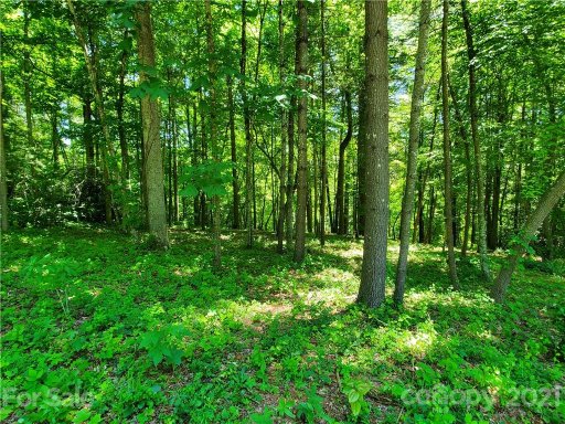 47 Trail Top Drive 52