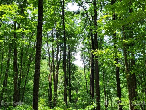 Track 2 Miller Mountain Road