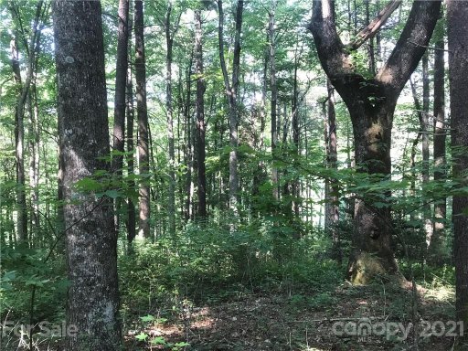 Tbd Severly Lane 339