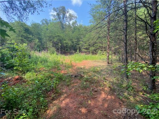 0 Whispering Pines Circle 31