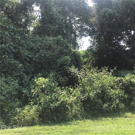166 Tranquility Lane