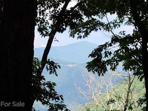 266 Mountain Laurel Road 60