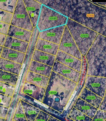 00 Blossom Hill Road 137