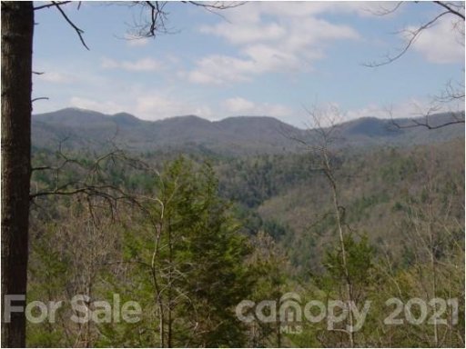 491 Wild River Run 10