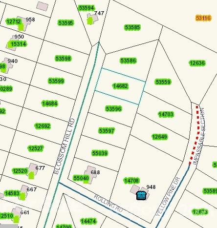 00 Blossom Hill Road 139