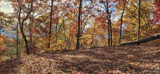 Lot 19b Lono Lane 19B