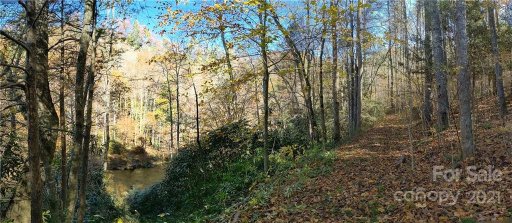 52 Bear Paw Trail 1 & 2