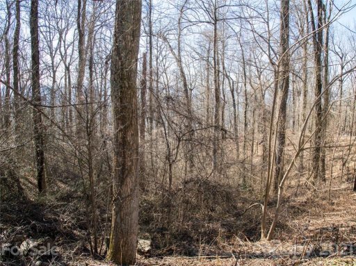 99999 Old Forest Drive 1C