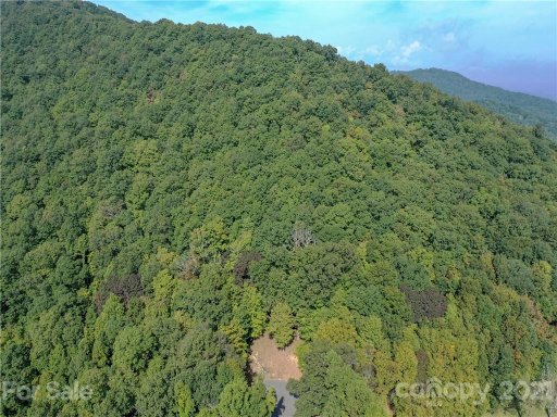 54 Ashewood Ridge Drive