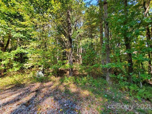 Tbd Eastatoe Gap Road LT 2