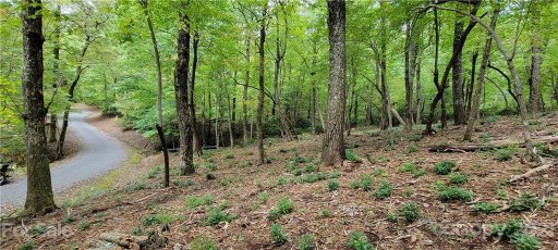 Lot 68 Serpentine Drive