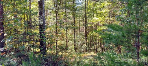 6136 Collette Ridge Circle