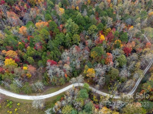 99999 Trillium Lane 15