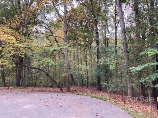 Lot 113 Stallion Court