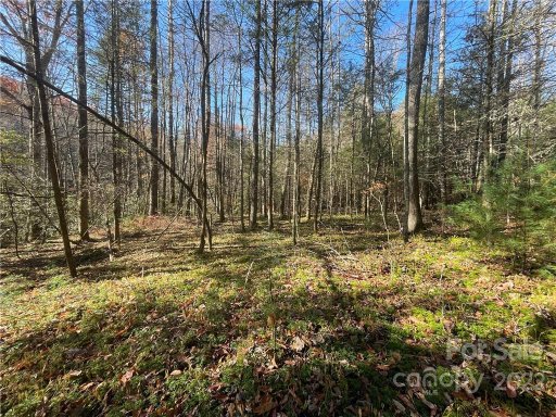 Tbd Green Hollow Lane 130