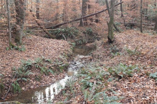 3158 Peninsula Pointe Drive 110