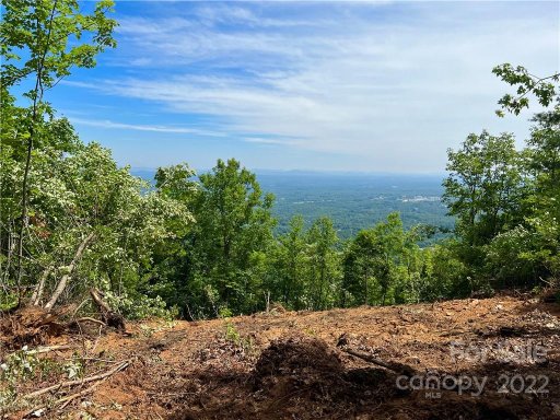 3685 Mountain Vista Drive