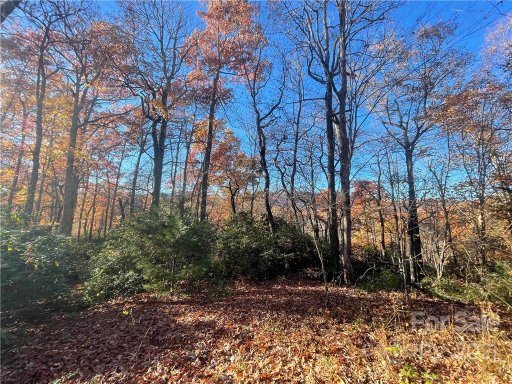 40 Poplar Crest Drive