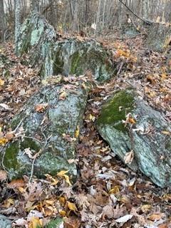 Lot 103 Avalon Gap Trail