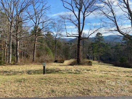 17 Trail Top Drive 39