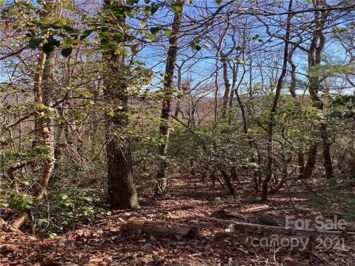 5c Dogwood Circle C-5