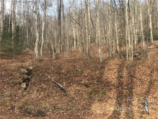 115 Sugar Maple Drive 815