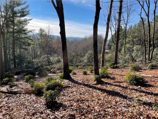 Lot 55 Winterberry Drive