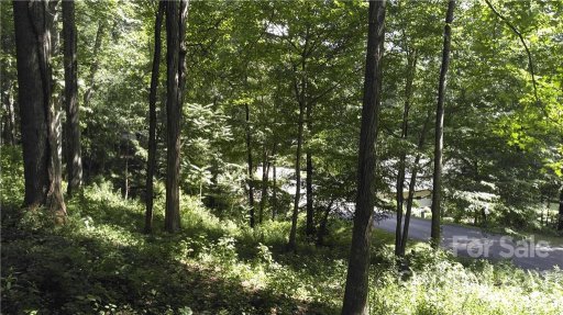 194 Blue Ridge Drive