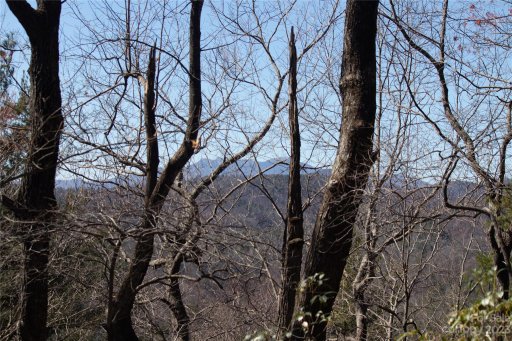 Lot 251 Autumn Ridge Lot# 251