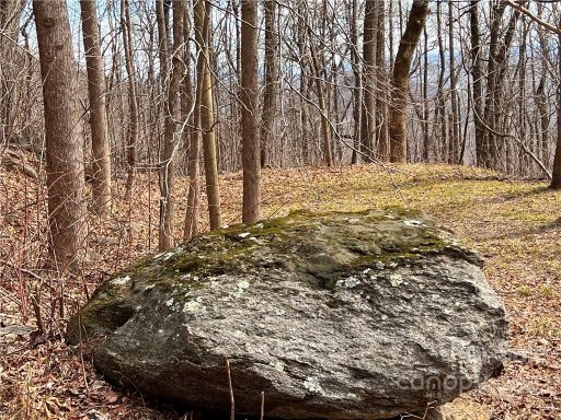 9999 Skyuka Mountain Road 2