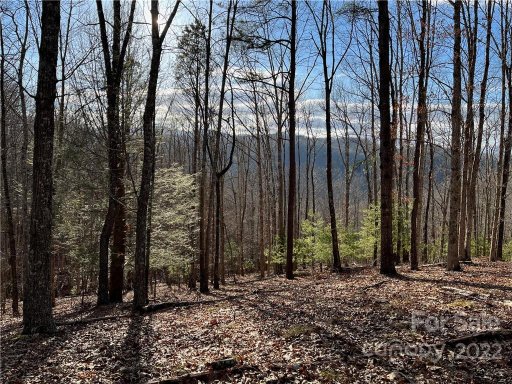 921 Wild River Run 33