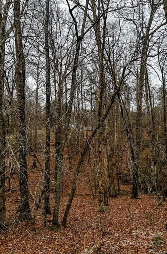 00 Horse Creek Drive 14