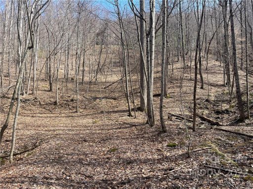 885 Stoney Stream Lane