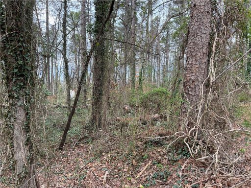 2832 Willow Street 33A