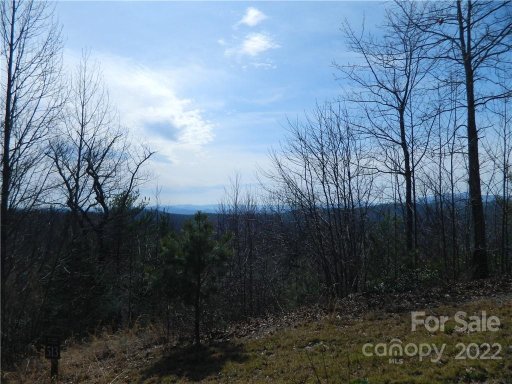Tbd Fire Crest Lane 503