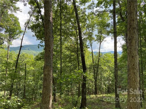 3670 French Broad Parkway 49