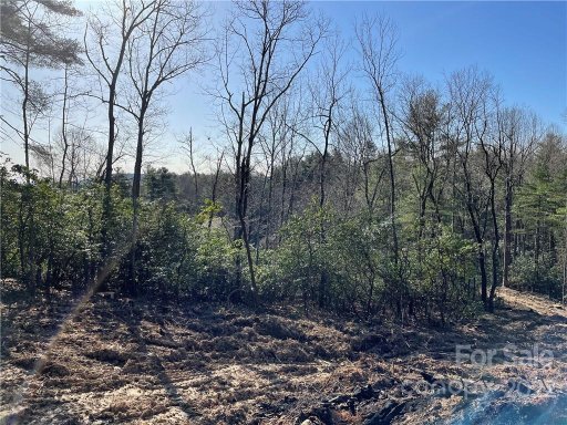 Lot 54 Winterberry Drive