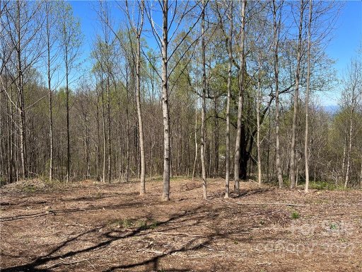 153 View Ridge Parkway 66