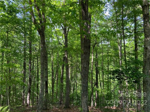 4171 French Broad Parkway 59