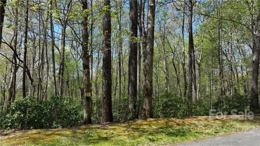 25 Poplar Crest Drive